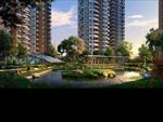 园林景观 住宅景观 园林效果图