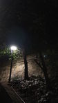 夜景