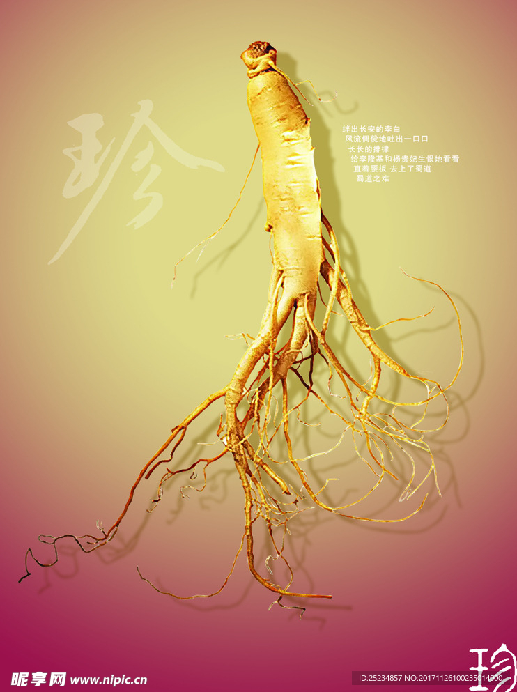 人参海报psd素材