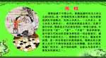 围棋文化图版