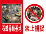 禁止捕捉