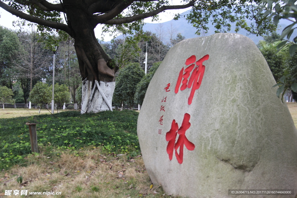 温州大学师林