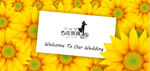 向阳花婚礼 迎宾背景