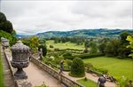 英国公园草地灌木