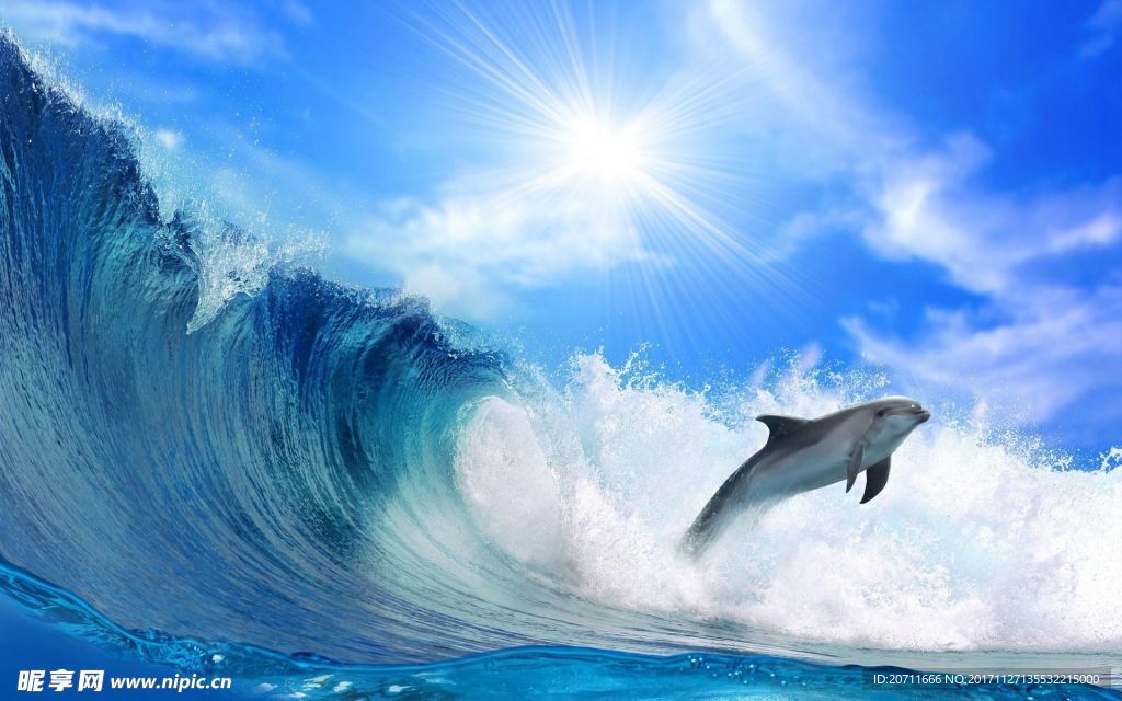 海浪海豚