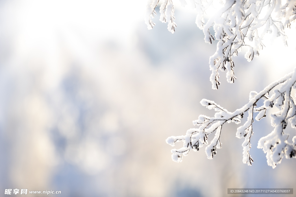 雪花