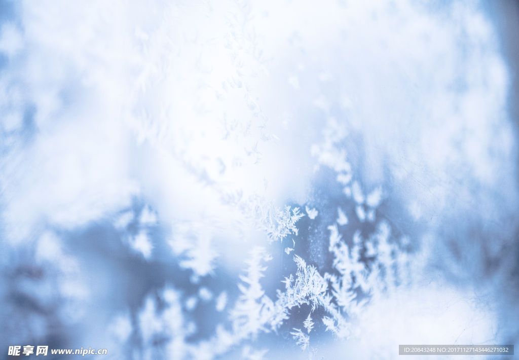 雪花纷飞