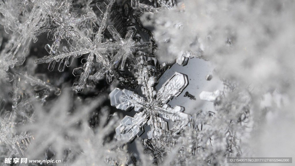 冰天雪地  冬天  雪景