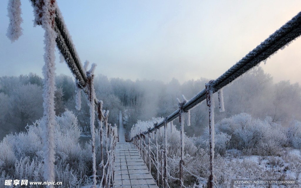 冰天雪地  冬天  雪景