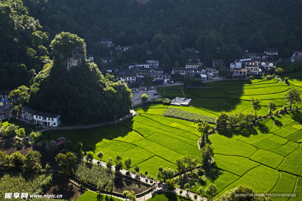 山脚农田