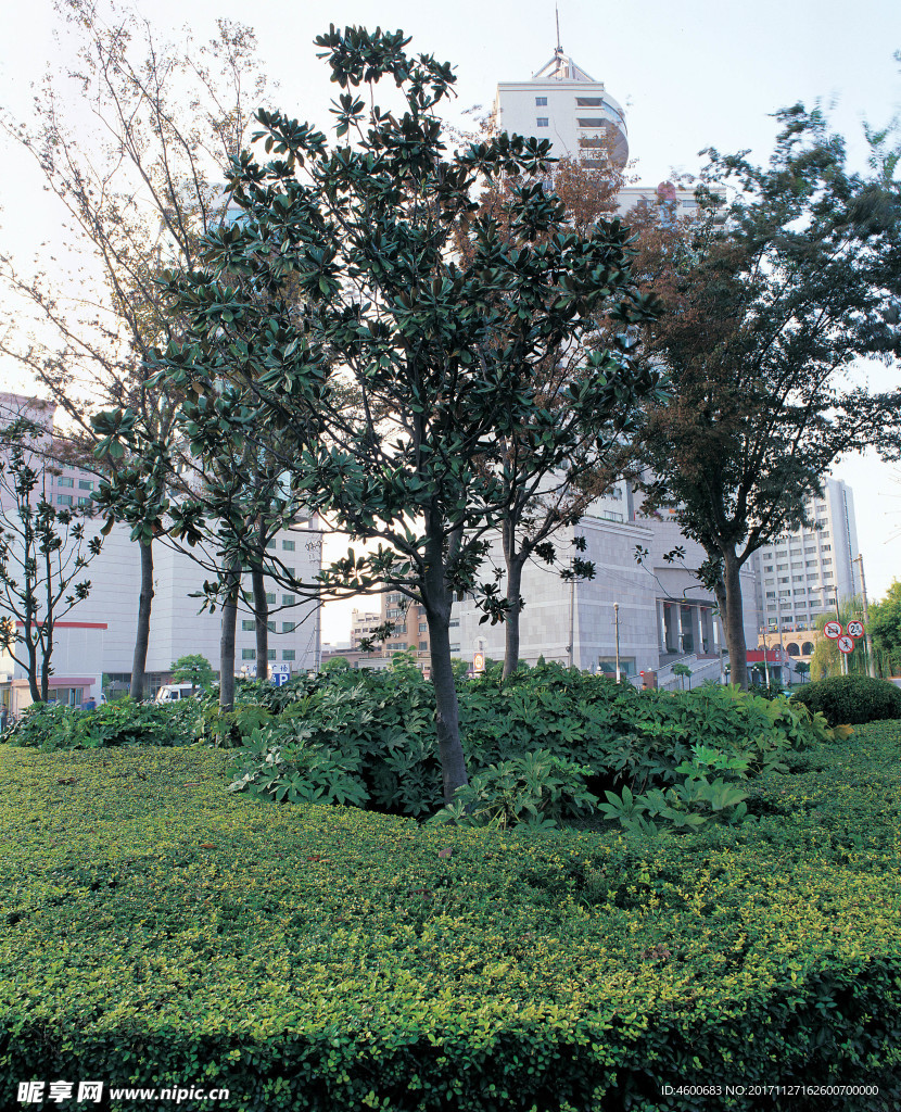 建筑摄影素材  园林城市图片