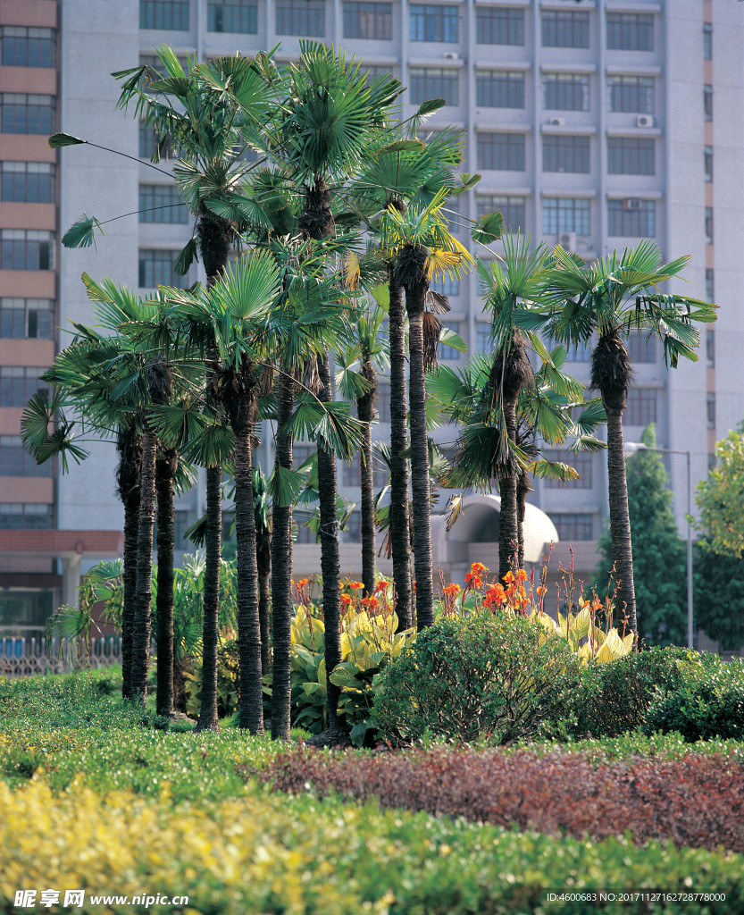 建筑摄影素材  园林城市图片