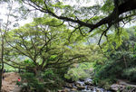 从化石门国家森林公园