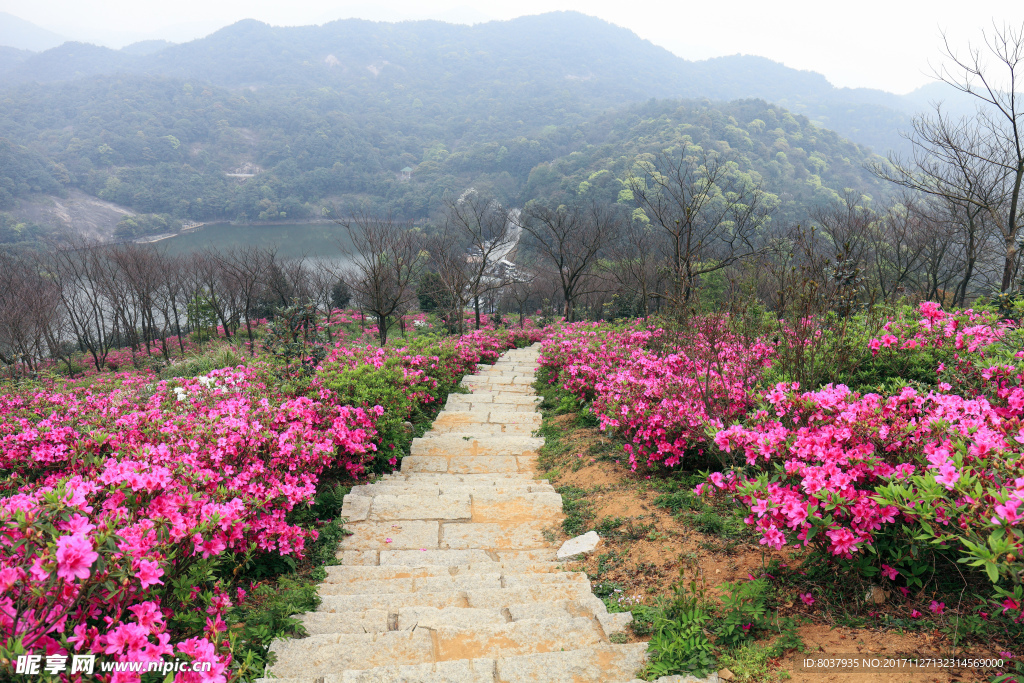 从化石门国家森林公园