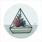 插画 鸟