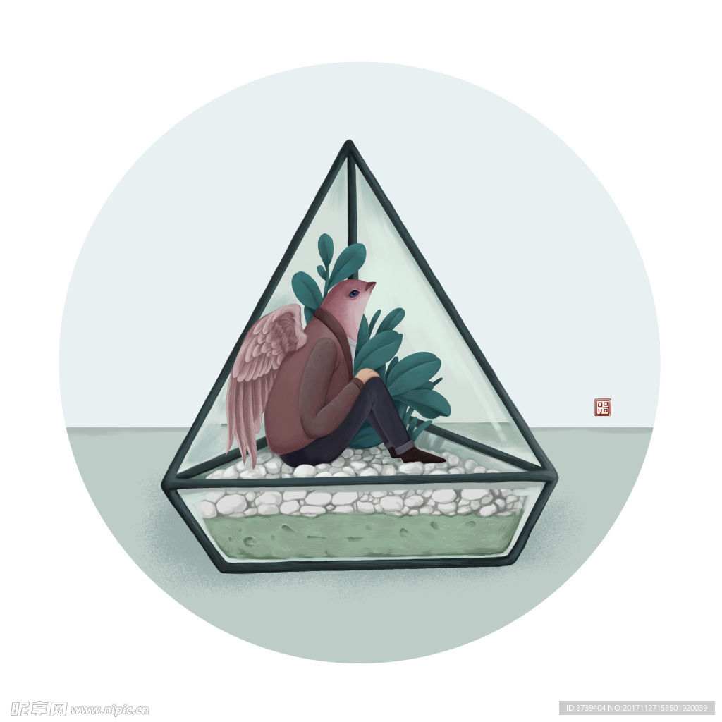 插画 鸟