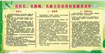 学校展板名校长、名教师培训