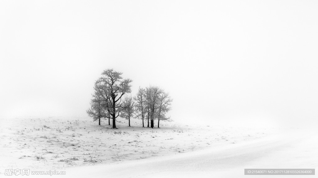 冰天雪地  冬天  雪景