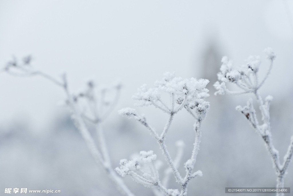 冰天雪地  冬天  雪景