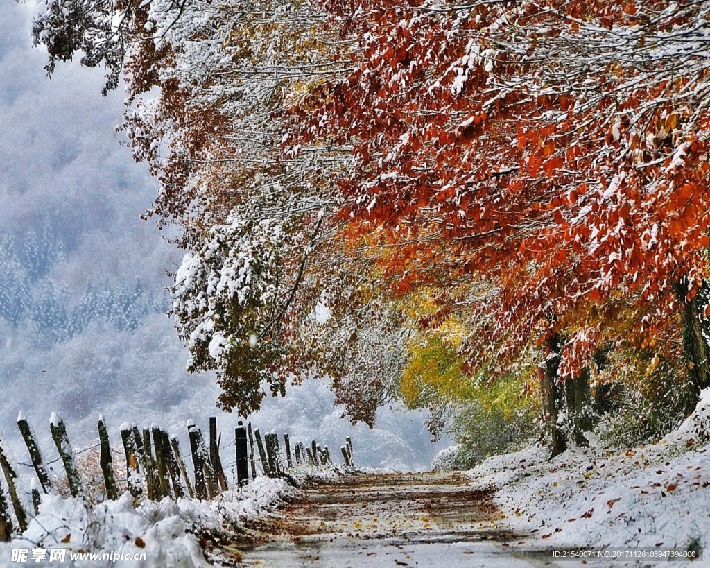 冰天雪地  冬天  雪景