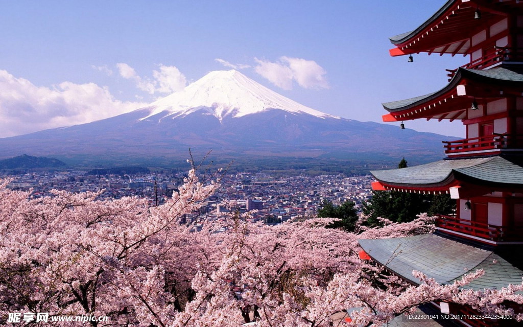 日本富士山樱花风景高清图片下载