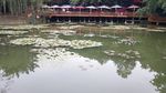 水塘