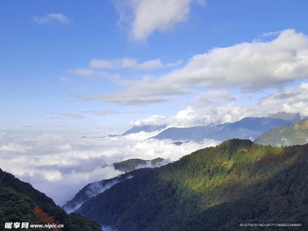 阿里山云海