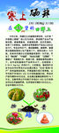 农业作物
