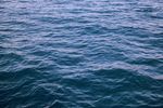 海水