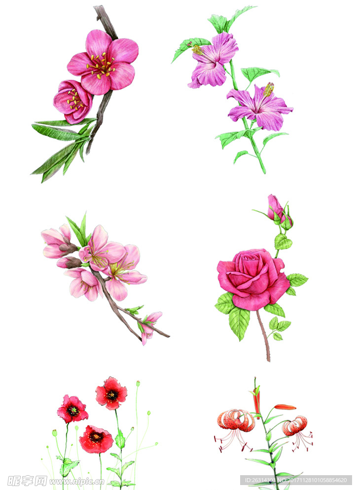 手绘红色花素材