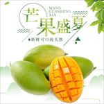 淘宝天猫水果促销通用直通车