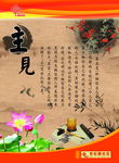 主见
