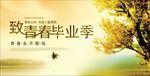 毕业季海报