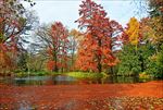 匈牙利公园秋季池塘
