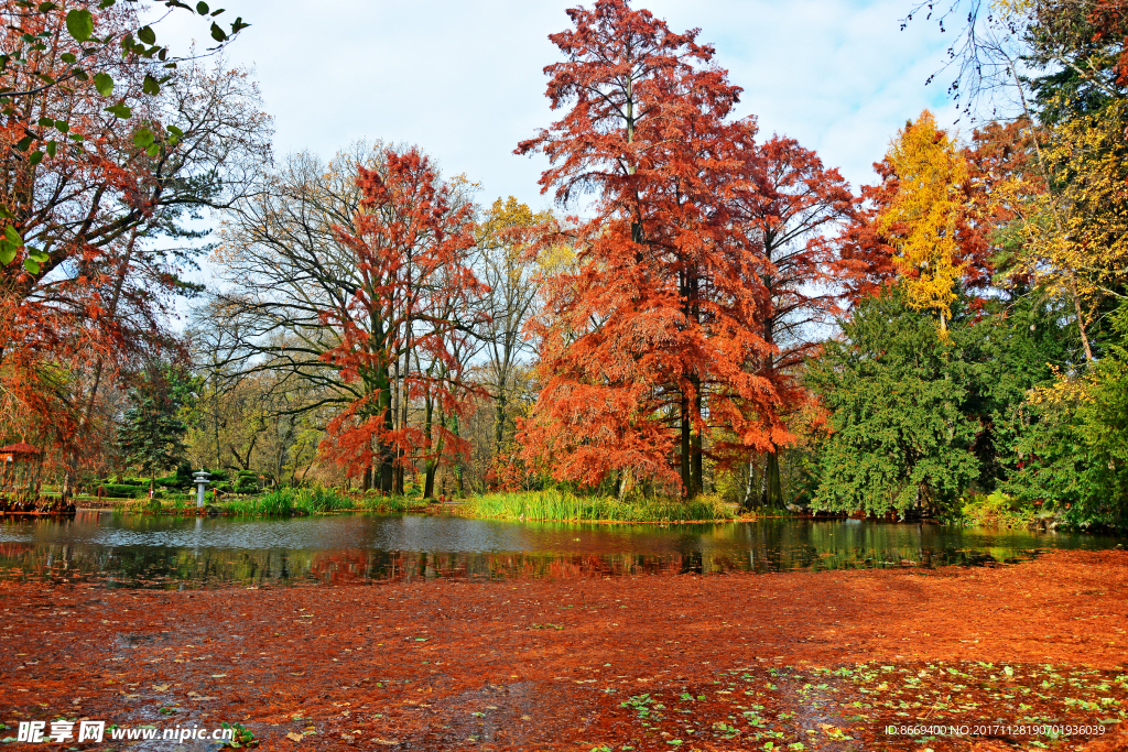 匈牙利公园秋季池塘