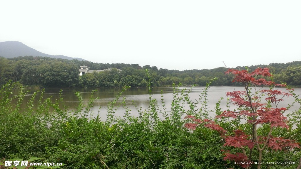 南京钟山风景区紫金山庄