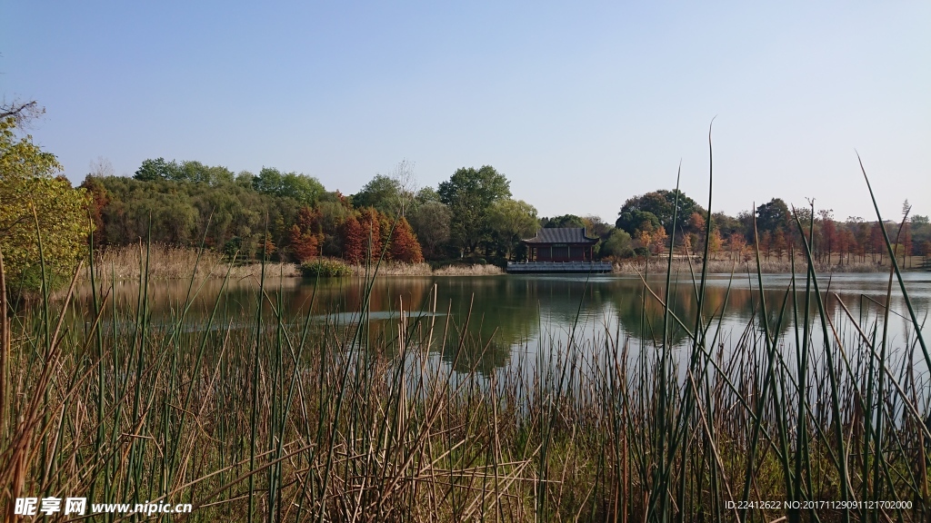 南京钟山风景区燕雀湖