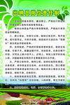 出纳员岗位责任制