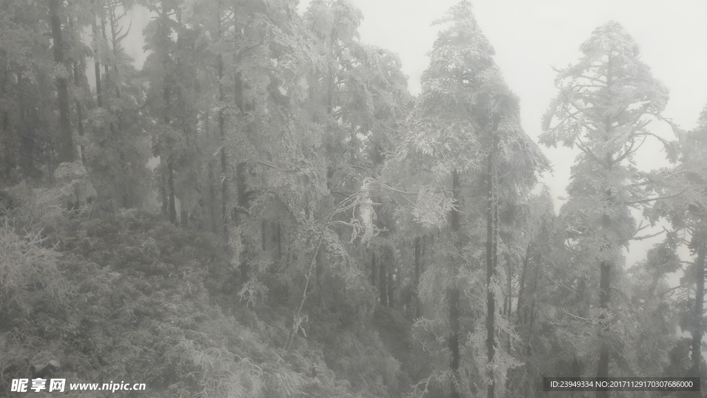 西岭雪山