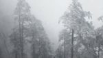 西岭雪山