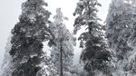 西岭雪山