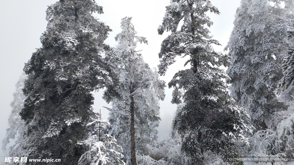 西岭雪山