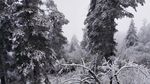 西岭雪山