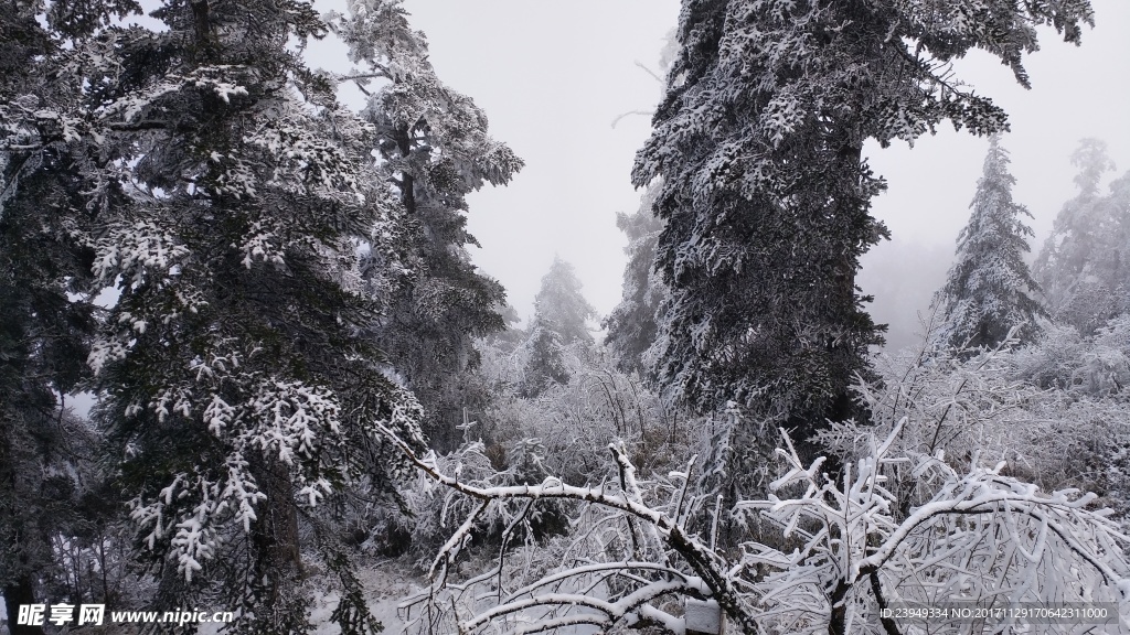 西岭雪山