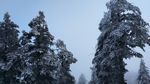 西岭雪山