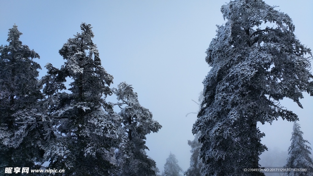 西岭雪山