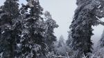 西岭雪山