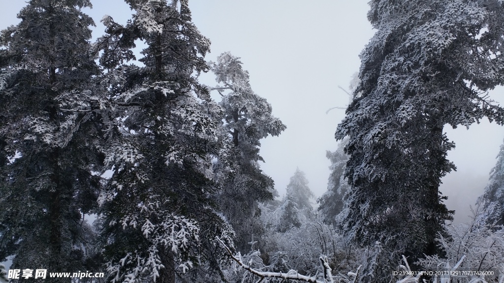 西岭雪山