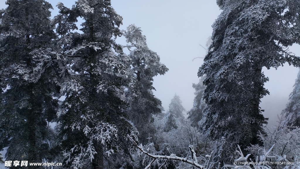 西岭雪山