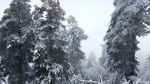 西岭雪山